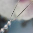 215244/WG�_�C���l�b�N���X�@���{�R