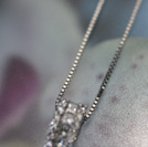 ADY0152/�v���`�i�_�C���l�b�N���X