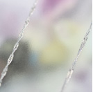 CBLX0155/WG�_�C���l�b�N���X�@���{3