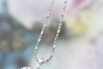 FX0325/WG�s���N�T�t�@�C�A�_�C������l�b�N���X�@���{1