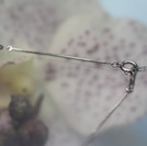 PN7701/K18WG�_�C���l�b�N���X�@���{1