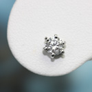 20115173/�v���`�i�_�C���s�A�X���{�Q