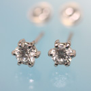 20115173/�v���`�i�_�C���s�A�X���{�R