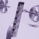 p11/WG�_�C���s�A�X