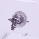 p50/WG�_�C���s�A�X