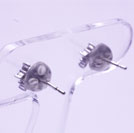 p50�^WG�_�C���s�A�X�@���{2