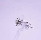 p87�^WG�EYG�K�[�l�b�g�s�A�X�@���{2