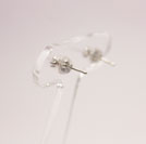 p88�^�v���`�i�_�C���s�A�X�@���{2