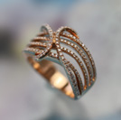 206667�^K18PG�_�C�������O�@���{1