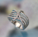 206885�^K18WG�_�C�������O�@���{1