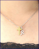 ダブルペンダントップ