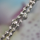 12102983/�v���`�i�_�C���l�b�N���X�@���{�P