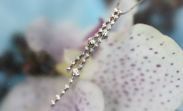 12102983/Pt�_�C���l�b�N���X