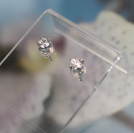 20115173/�v���`�i�_�C���s�A�X���{�P