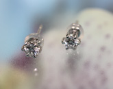 20115173�^�v���`�i�_�C���s�A�X 