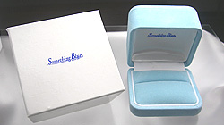 ����w�փZ�~�I�[�_�[